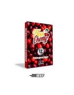 Tropi Cherry X2