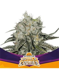 Double Cookies SP - X2