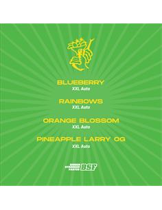 Tutti Frutti XXL Automix - X4 2