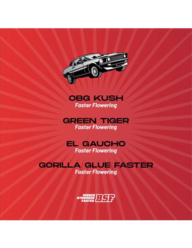 Fast And Furious Faster Mix - X4