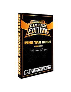 Pine Tar Kush L.E. X2