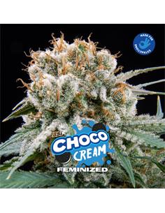 Choco Cream X2 2