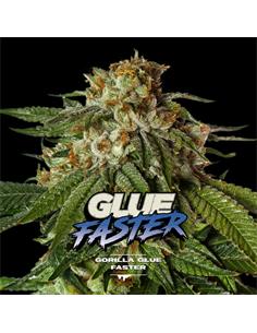 Gorilla Glue Faster GK - X2