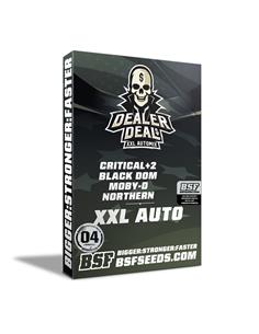 Dealer Deal XXL Automix - X4 2