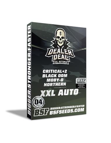 Dealer Deal XXL Automix - X4