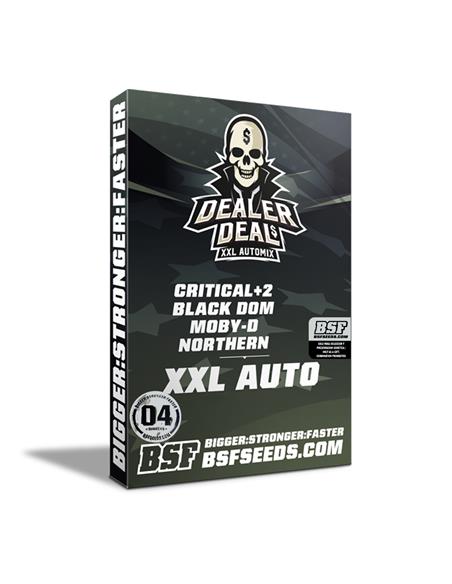 Dealer Deal XXL Automix - X4