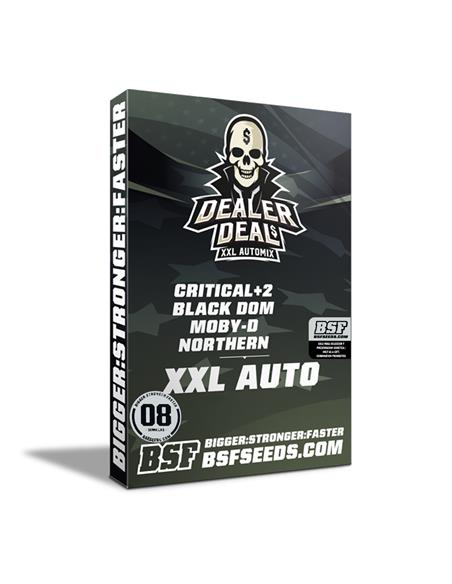 Dealer Deal XXL Automix - X8