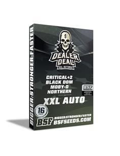 Dealer Deal XXL Automix - X16 2