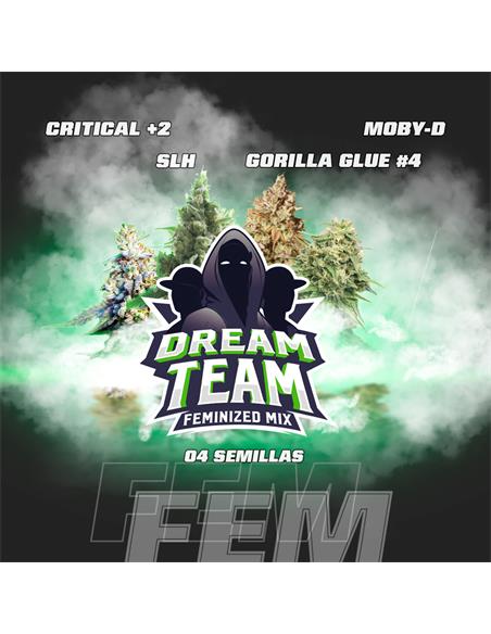 Dream Team Feminized Mix - X4