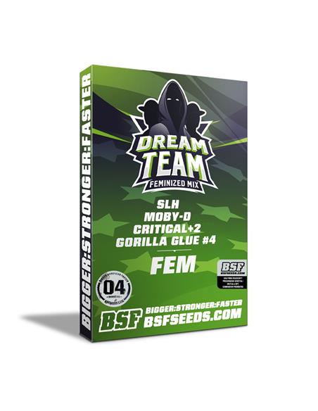 Dream Team Feminized Mix - X4