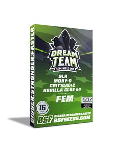 Dream Team Feminized Mix - X16 2