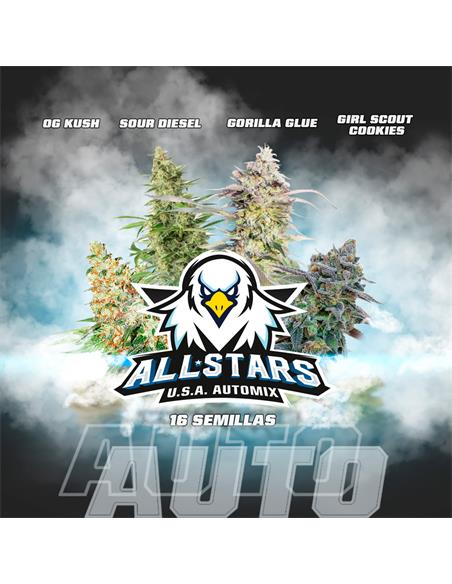 All Stars USA Automix - X16