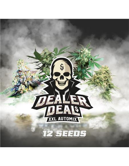 Dealer Deal XXL Automix - X12