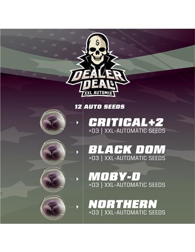 Dealer Deal XXL Automix - X12