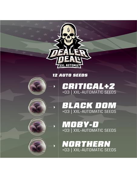 Dealer Deal XXL Automix - X12