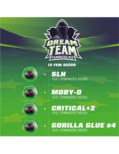 Dream Team Feminized Mix - X12 2