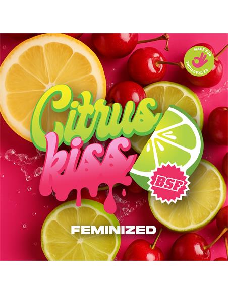 Citrus Kiss - X12