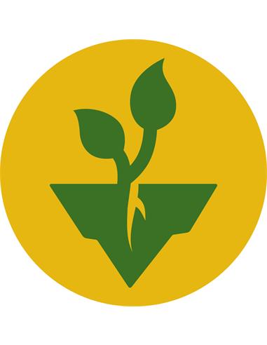 Easy Bud Auto X3 - Royal Queen Seeds
