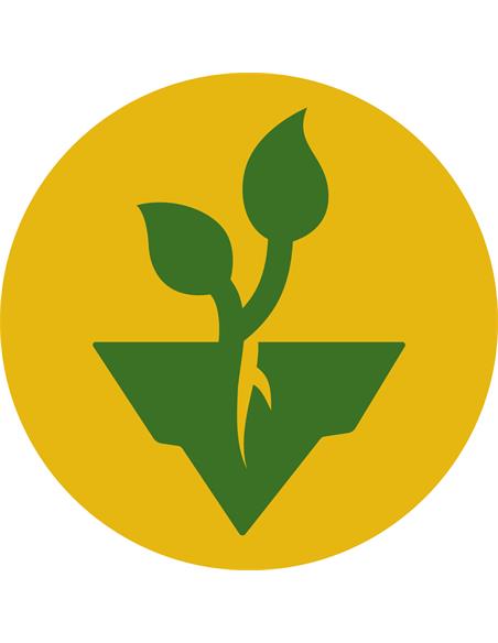 Easy Bud Auto X3 - Royal Queen Seeds