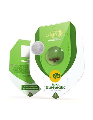Royal Bluematic Auto X3 - Royal Queen Seeds