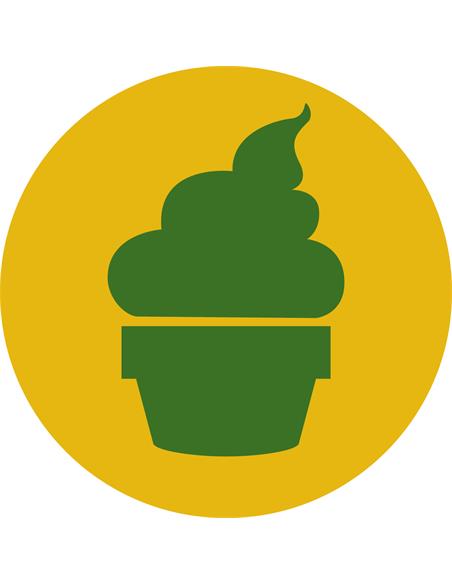 Royal Creamatic Auto X3 - Royal Queen Seeds