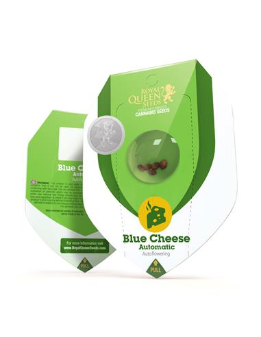 Blue Cheese Auto X3 - Royal Queen Seeds