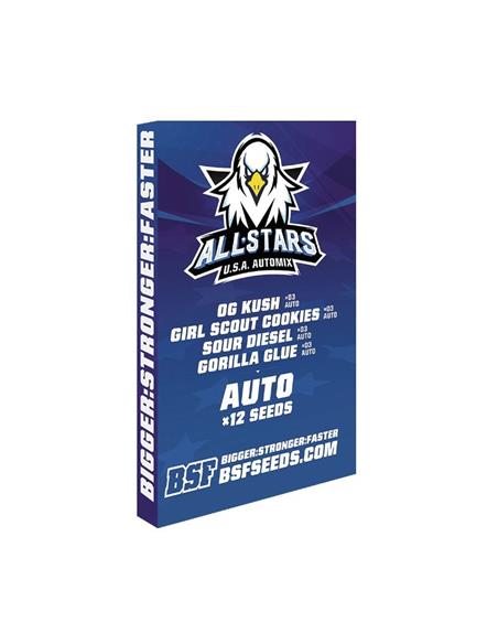 All Stars USA Automix - X12
