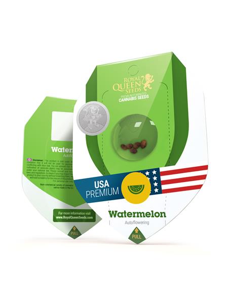 Watermelon Auto X3 - Royal Queen Seeds