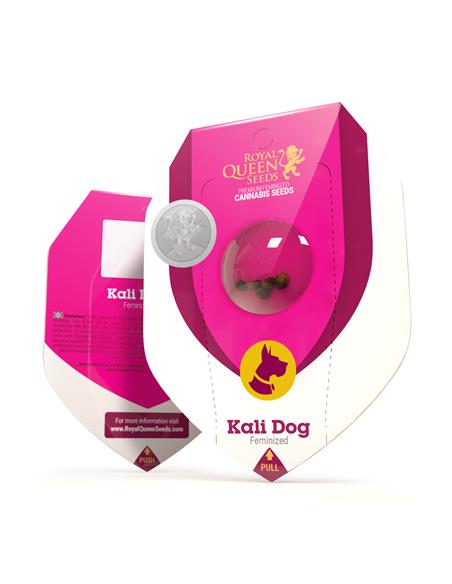 Kali Dog X3 - Royal Queen Seeds