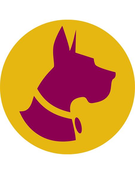 Kali Dog X3 - Royal Queen Seeds