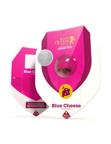 Blue Cheese X3 - Royal Queen Seeds