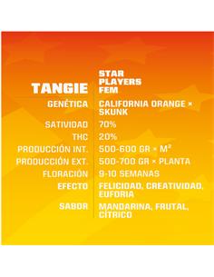 Tangie - X12 2