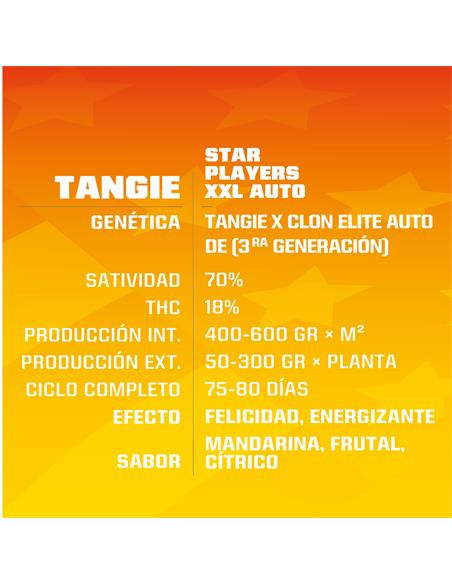 Tangie XXL Auto - X2