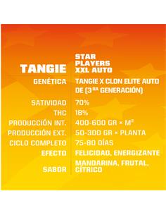 Tangie XXL Auto - X12 2