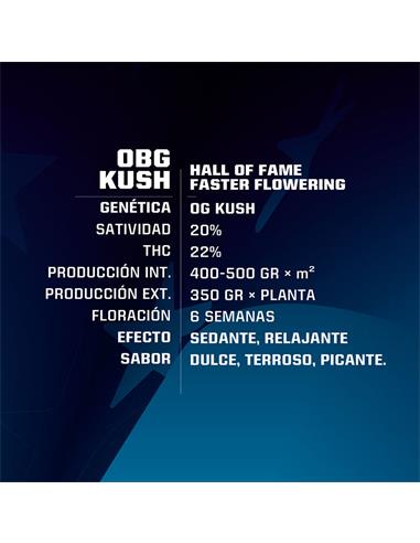 OBG Kush Fast Version - X2