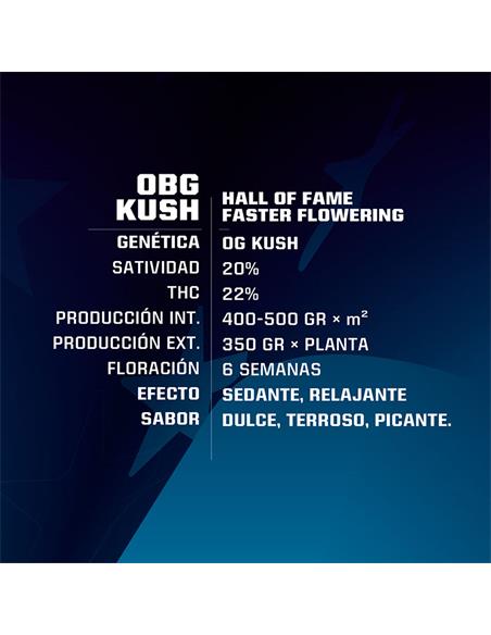 OBG Kush Fast Version - X2