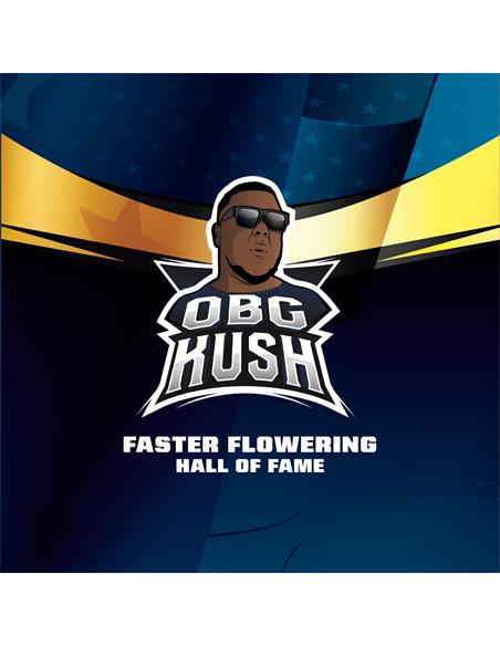OBG Kush Fast Version - X12