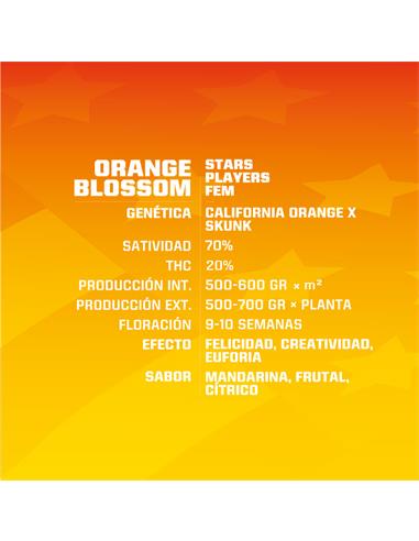 Orange Blossom - X12