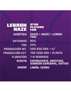 Lebron Haze - X2 2