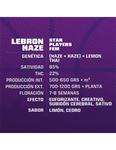 Lebron Haze - X2