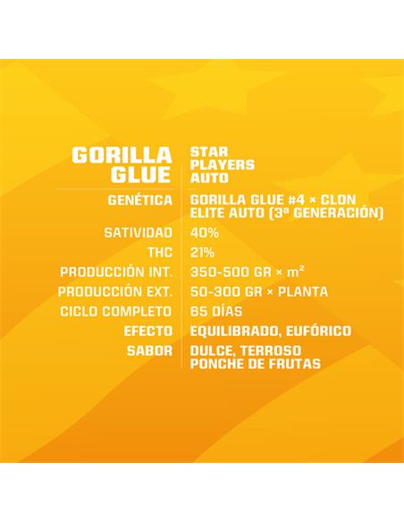 Gorilla Glue Auto - X12