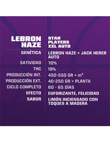 Lebron Haze Auto - X4