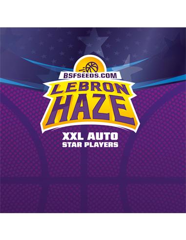 Lebron Haze Auto - X7