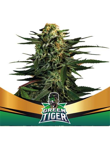 Green Tiger Fast Version - X7