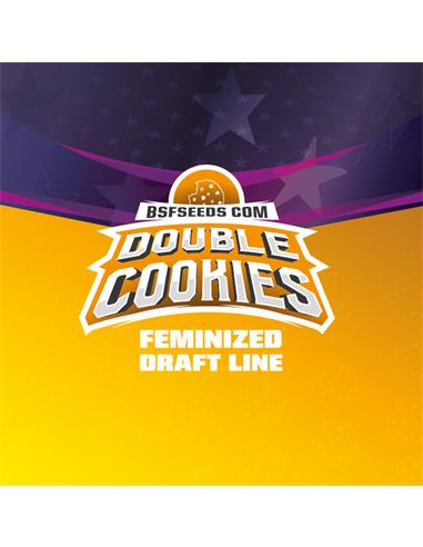 Double Cookies SP - X12