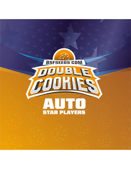 Double Cookies Auto SP - X4