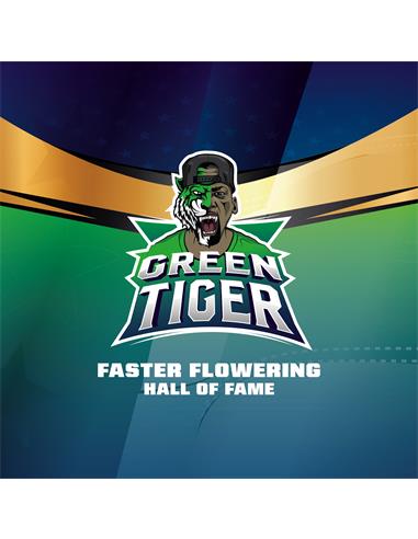 Green Tiger Fast Version - X7