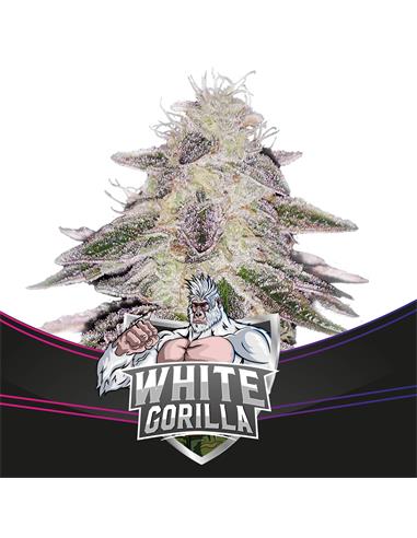White Gorilla - X7