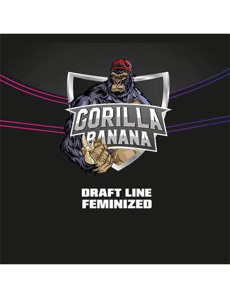 Gorilla Banana - X12