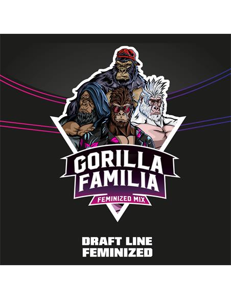 Gorilla Familia - X12